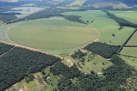 Fazenda/Sítio com 12 Quartos à venda, 770000000m² no Área Rural de Uberlândia, Uberlândia