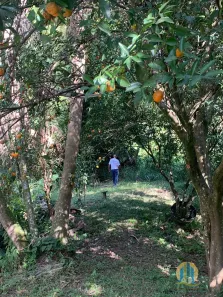 Lote/Terreno à venda, 786m² no Chácara das Garças, Santana de Parnaíba