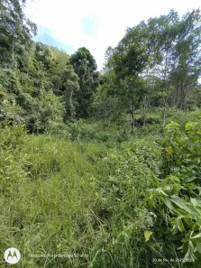 Fazenda/Sítio à venda, 450000m² no , Delfim Moreira