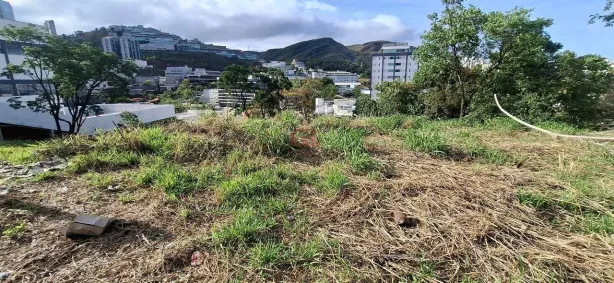 Lote/Terreno à venda, 767m² no Estoril, Belo Horizonte