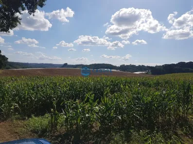 Lote/Terreno à venda, 150018m² no Forqueta, Caxias do Sul