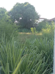 Lote/Terreno à venda, 360m² no Piratininga, Niterói