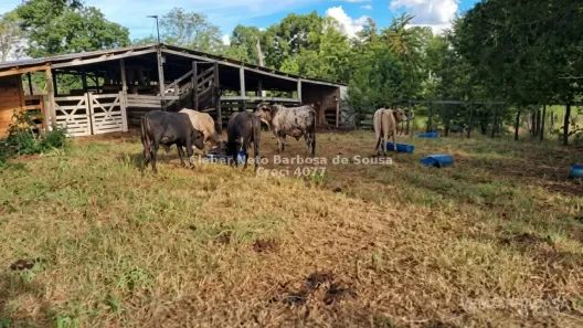 Fazenda/Sítio à venda, 39900m² no , Bonito