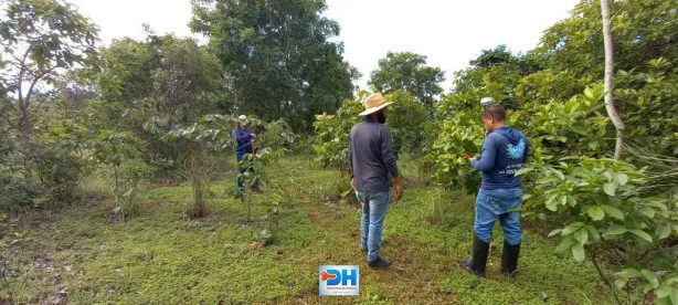 Fazenda/Sítio à venda, 3m² no Área Rural de Palmas, Palmas