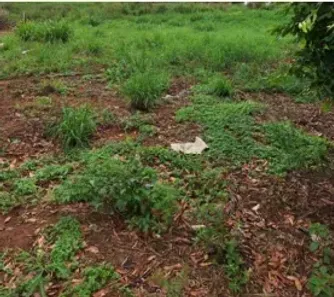 Lote/Terreno à venda, 200m² no , Getulina