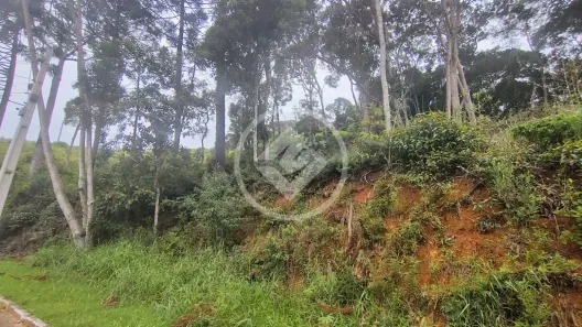 Lote/Terreno à venda, 1336m² no Prata, Teresópolis