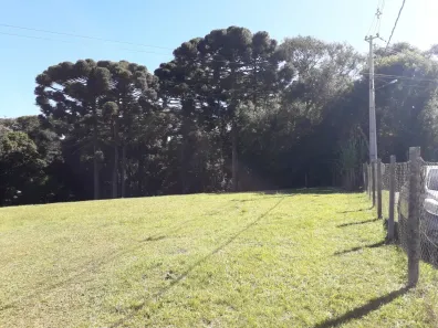 Lote/Terreno à venda, 7301m² no Guatupê, São José dos Pinhais