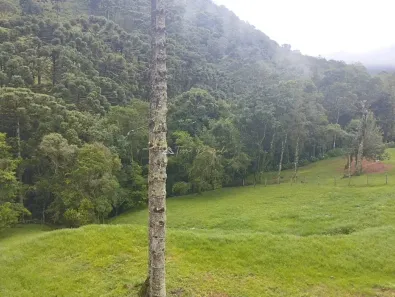 Lote/Terreno à venda, 3000m² no , Gonçalves