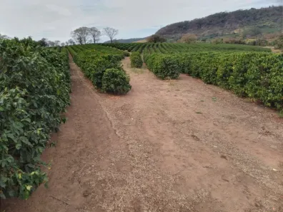 Fazenda/Sítio com 5 Quartos à venda, 290400m² no , Altinópolis