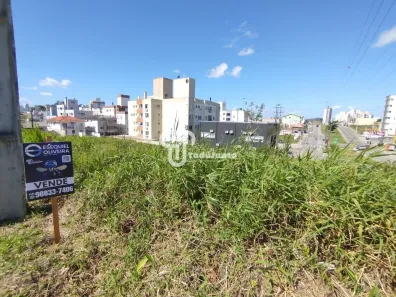 Lote/Terreno à venda, 998m² no São Sebastião, Palhoça