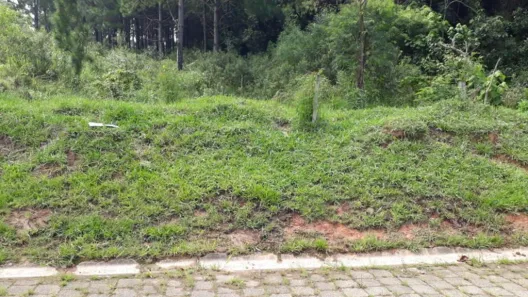 Lote/Terreno à venda, 655m² no Jardim Barbacena, Cotia