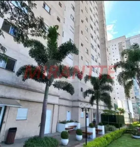 Apartamento com 2 Quartos à venda, 58m² no Jardim Modelo, São Paulo