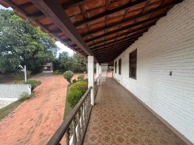 Casa com 5 Quartos para alugar, 2376m² no Santa Amélia, Belo Horizonte