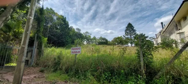 Lote/Terreno à venda, 1026m² no Jardim Isabel, Porto Alegre