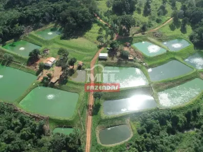 Fazenda/Sítio à venda, 500m² no , Orizona