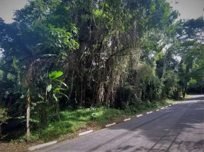 Lote/Terreno à venda, 1403m² no Algarve, Cotia