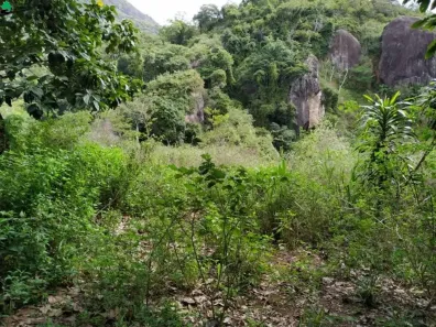 Lote/Terreno à venda, 7300m² no Santo Antônio, Serra
