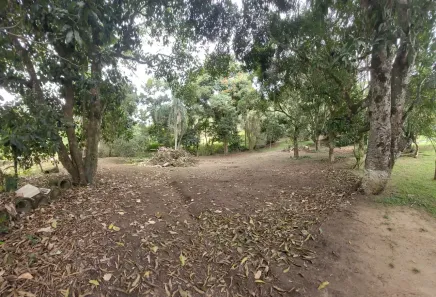 Lote/Terreno à venda, 3230m² no Pedro do Rio, Petrópolis