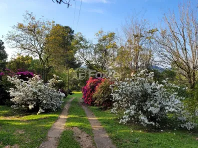 Fazenda/Sítio com 4 Quartos à venda, 2000m² no , Mariana Pimentel