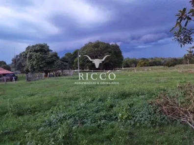 Fazenda/Sítio com 3 Quartos à venda, 136m² no Setor Central, Araguaçu