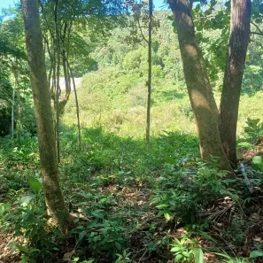 Lote/Terreno à venda, 20000m² no , Antônio Carlos