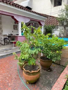 Casa com 5 Quartos à venda, 200m² no Santa Rosa, Niterói