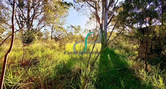 Lote/Terreno à venda, 5006m² no Sítio Recreio dos Cafezais, Valinhos