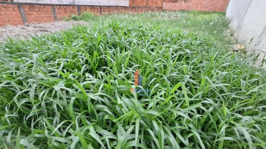 Lote/Terreno à venda, 250m² no Parque Gabriel, Hortolândia