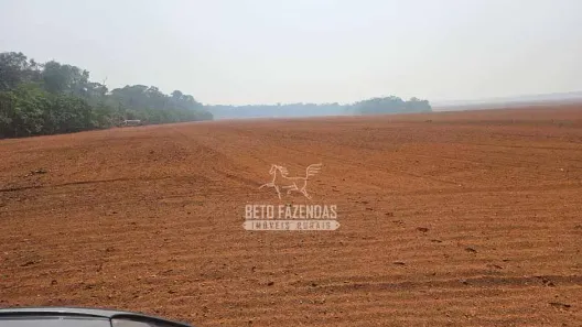Fazenda/Sítio à venda, 85232400m² no , São Félix do Araguaia