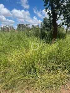 Lote/Terreno à venda, 250m² no Jardim da Mooca, Campo Grande