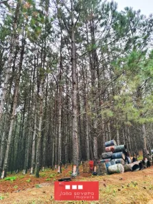 Fazenda/Sítio à venda, 5493400m² no Centro, Itapetininga