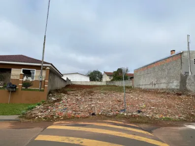 Lote/Terreno à venda, 560m² no Cará-cará, Ponta Grossa