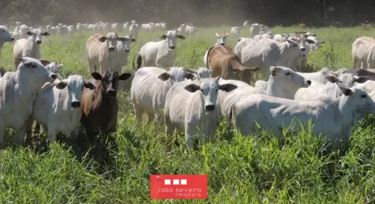 Fazenda/Sítio à venda, 160000000m² no , Aquidauana
