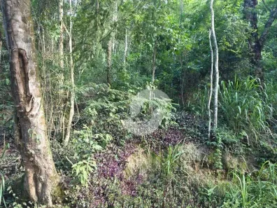 Lote/Terreno à venda, 450m² no Engenho do Mato, Niterói