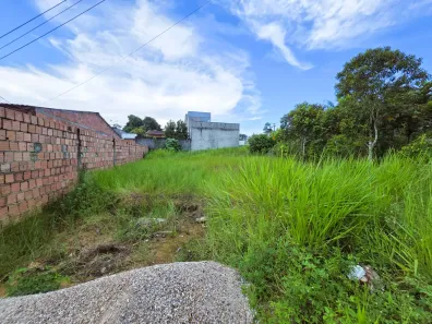 Lote/Terreno para alugar, 250m² no Tarumã, Manaus