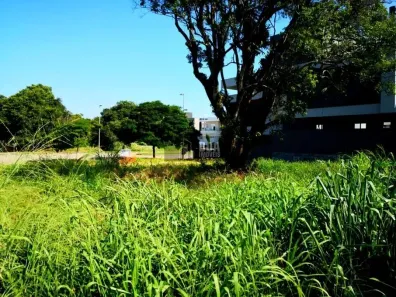 Lote/Terreno à venda, 702m² no Jurerê Internacional, Florianópolis