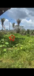 Lote/Terreno para alugar, 2000m² no , Pinheiro
