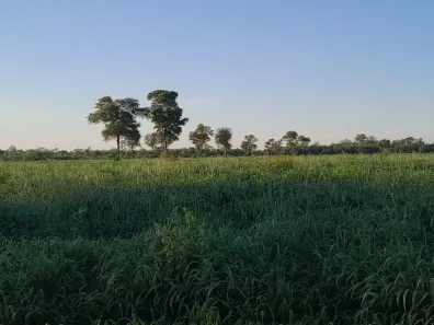 Fazenda/Sítio à venda, 188900000m² no , Porto Murtinho