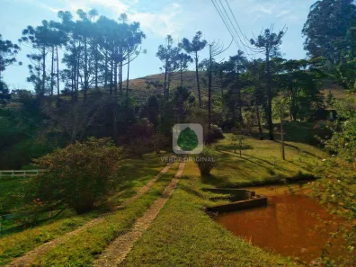 Fazenda/Sítio com 4 Quartos à venda, 235000m² no Centro, Sapucaí-Mirim