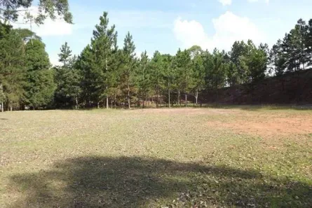 Lote/Terreno à venda, 26000m² no Narita Garden, Vargem Grande Paulista