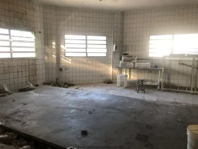 Galpão/Depósito/Armazém para alugar, 431m² no Vila Moinho Velho, São Paulo