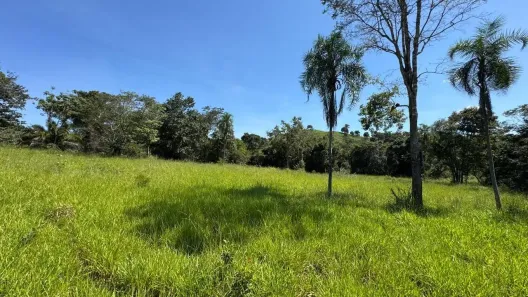Fazenda/Sítio com 1 Quarto à venda, 33m² no Goiás, Goiás