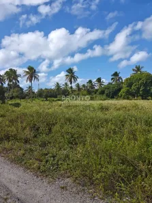 Lote/Terreno à venda, 392m² no Zona de Equilíbrio Ambiental (ZEA), Ipojuca
