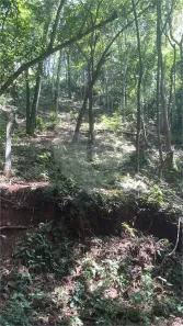 Lote/Terreno à venda, 480m² no Atibaia Belvedere, Atibaia