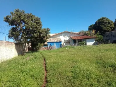 Lote/Terreno para alugar, 600m² no Vila Camarão, Itapetininga