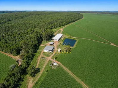 Fazenda/Sítio com 5 Quartos à venda, 13000m² no Colônia Taquaral, São Mateus do Sul