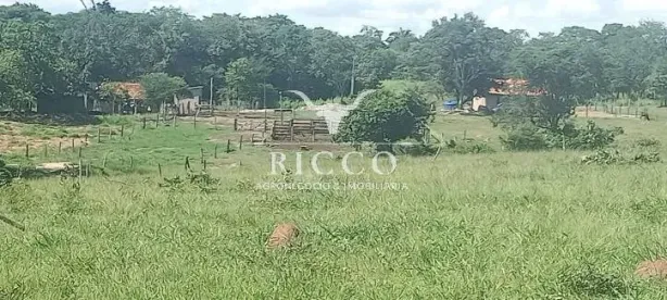 Fazenda/Sítio com 3 Quartos à venda, 6m² no Centro, Arenópolis