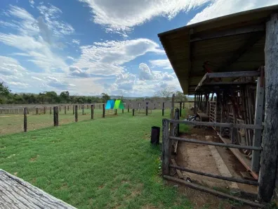 Fazenda/Sítio com 1 Quarto à venda, 812m² no , Curvelo