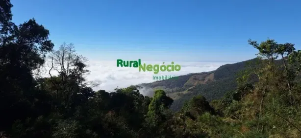 Fazenda/Sítio à venda, 7000m² no Centro, Guaratinguetá