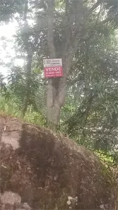 Lote/Terreno à venda, 944m² no Luiz Fagundes, Mairiporã
